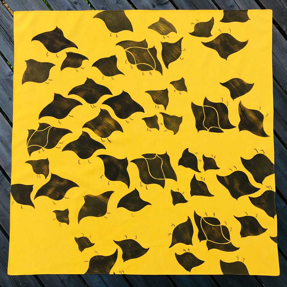 Chidori Freestyle (Dyeing with Onion skins)