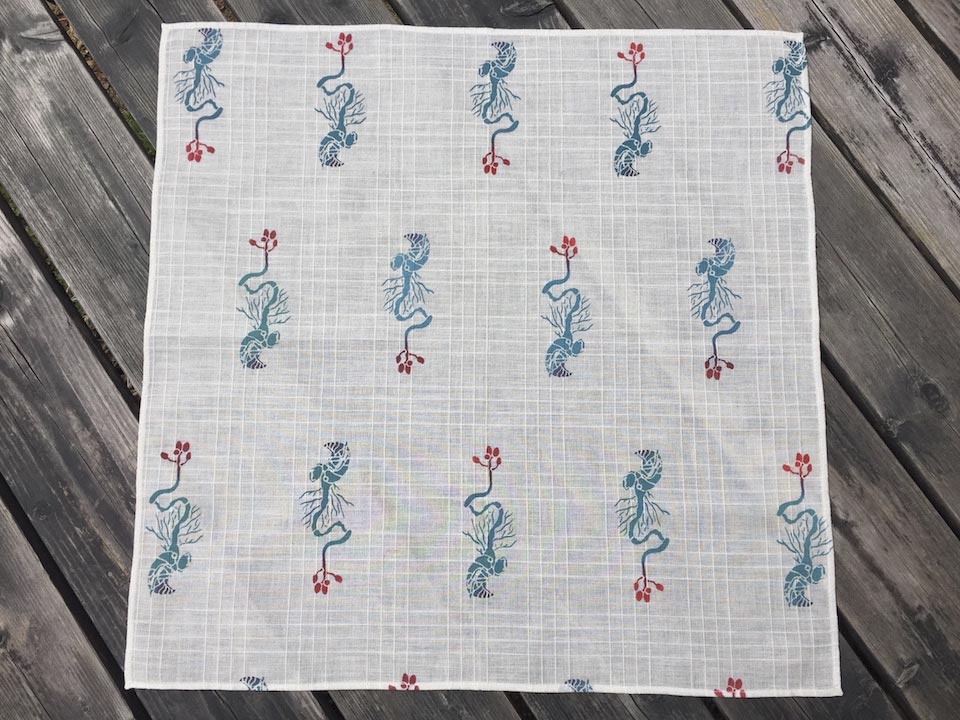 Ophiocordyceps sobolifera